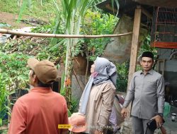Anggota DPRD Kabupaten Sukabumi, Nasrudin Bantu Korban Rumahnya Tertimpa Pohon Tumbang