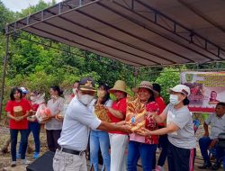 Peringati HUT RI Ke-77, Desa Sarapat Gelar Kegiatan Berbagai Lomba dan Hiburan Rakyat