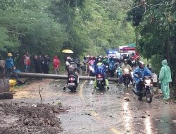 Akibat Longsor dan Pohon Tumbang, Tiang Listrik Roboh Dan Menutupi Akses Jalan Di  Simpenan Sukabumi