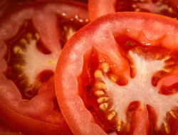 Kamu Harus Tau! Ternyata, Tomat Bisa Jadi Skincare Alami Lho!